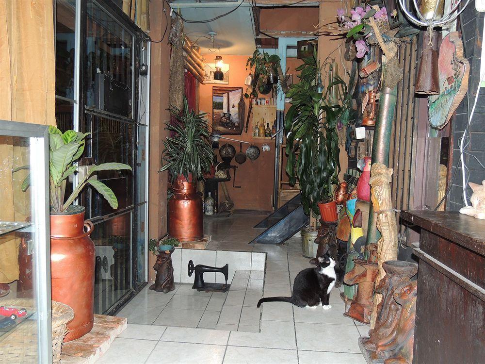 Hostal Del Este Santa Fe ซานโฮเซ ภายนอก รูปภาพ